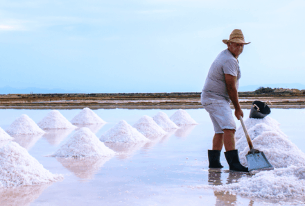VERSO L’AREA DELLA “BIOSFERA UNESCO SALINE DI SICILIA”