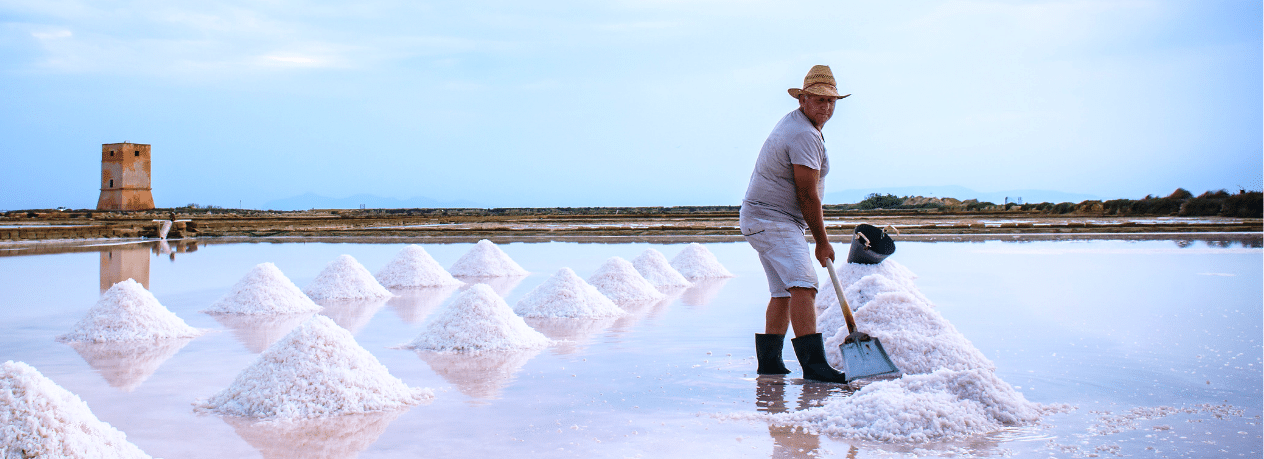 VERSO L’AREA DELLA “BIOSFERA UNESCO SALINE DI SICILIA”