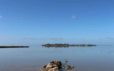Marsala entra nel percorso di candidatura della Riserva della Biosfera MaB UNESCO “Saline di Sicilia”.