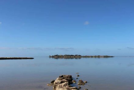 Marsala entra nel percorso di candidatura della Riserva della Biosfera MaB UNESCO “Saline di Sicilia”.