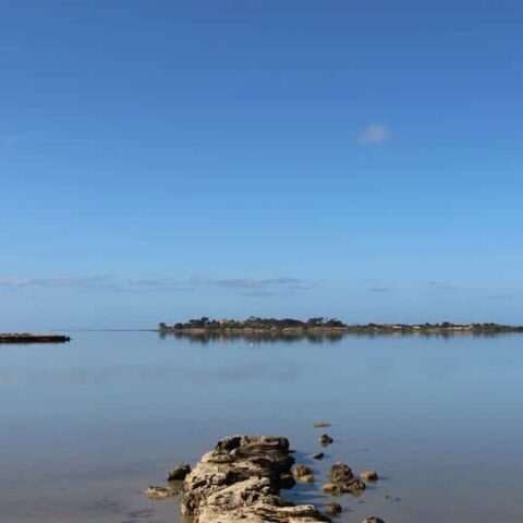 Marsala entra nel percorso di candidatura della Riserva della Biosfera MaB UNESCO “Saline di Sicilia”.