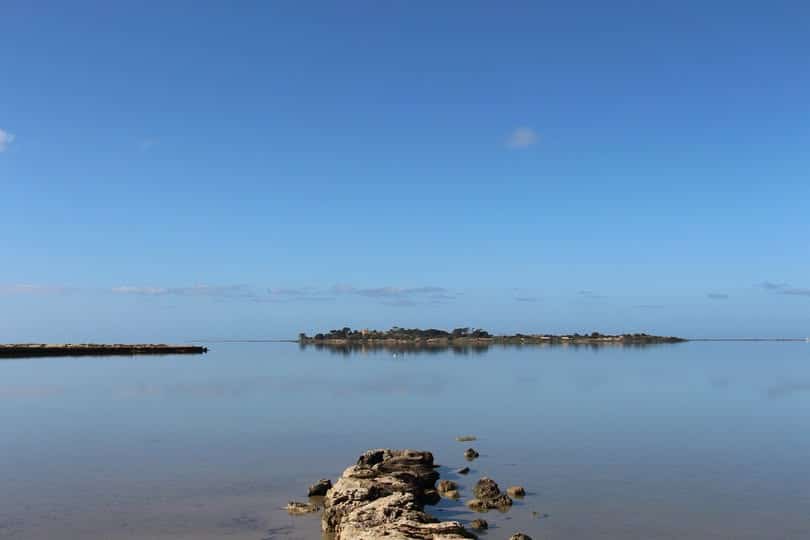 Marsala entra nel percorso di candidatura della Riserva della Biosfera MaB UNESCO “Saline di Sicilia”.